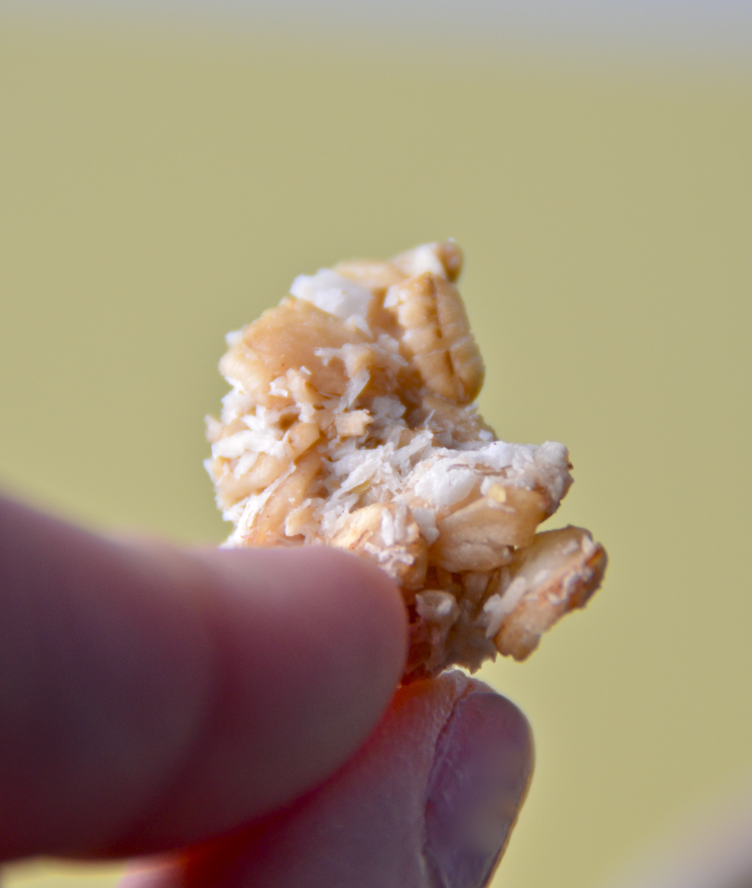 Maple Granola. New Music From The Echo And The Sound. I Sing In The